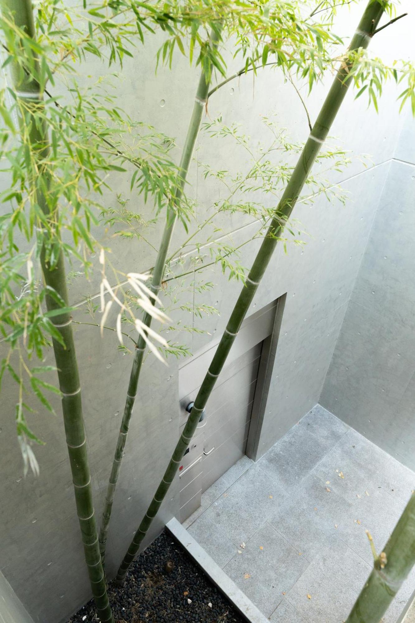 Azabu Modern House The Tokyo Tower Can Be Seen From The Villa 500M2 Extérieur photo